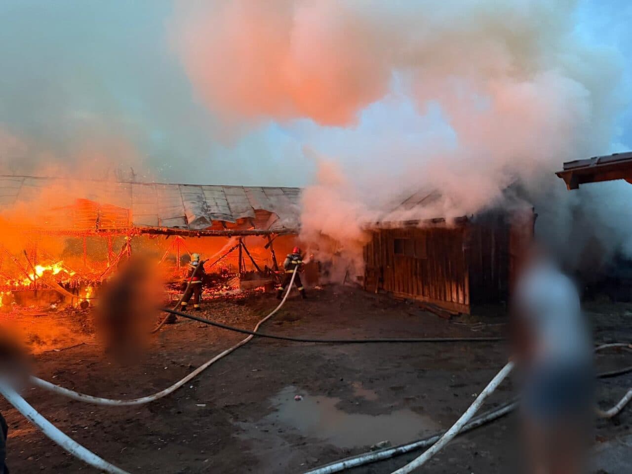 Un adăpost de animale din județul Suceava s-a făcut scrum. Există pericol de propagare a incendiului la alte construcții din proximitate