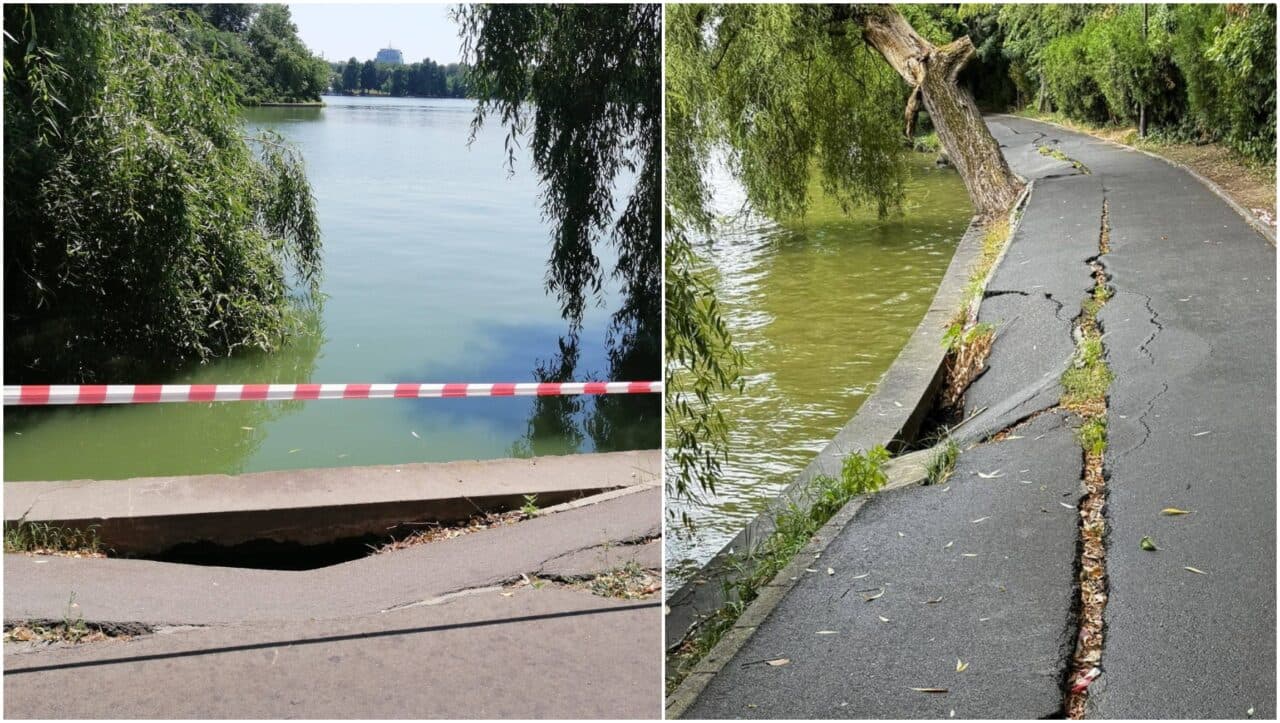 Începe golirea Lacului Herăstrău. Cât va dura până nu va mai fi pic de apă în el și ce se va întâmpla cu peștii și rațele