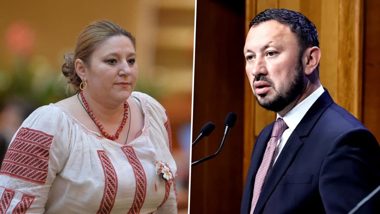 Liberalul Mircea Fechet o acuză pe Dianei Șoșoacă de „trădare naţională”: „Între 10 și 20 ani de închisoare. Cu atât se pedepsește în România”
