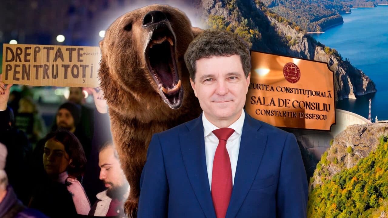 ONG-urile și „activistul” Nicușor Dan pierd pe bandă rulantă la CCR. După respingerea recursului la legea privind combaterea înmulțirii necontrolate a ursului brun, Curtea dă undă verde legii hidrocentralelor