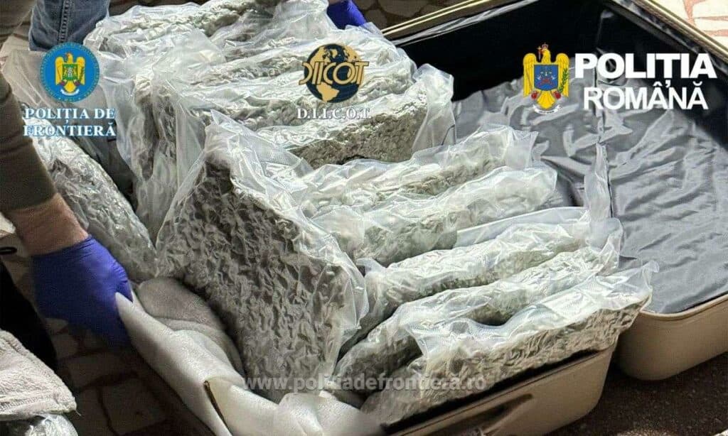 Tânăr cu dublă cetățenie, reținut după ce a fost prins cu 11 kilograme de Canabis. Drogurile urmau să fie vândute pe litoral
