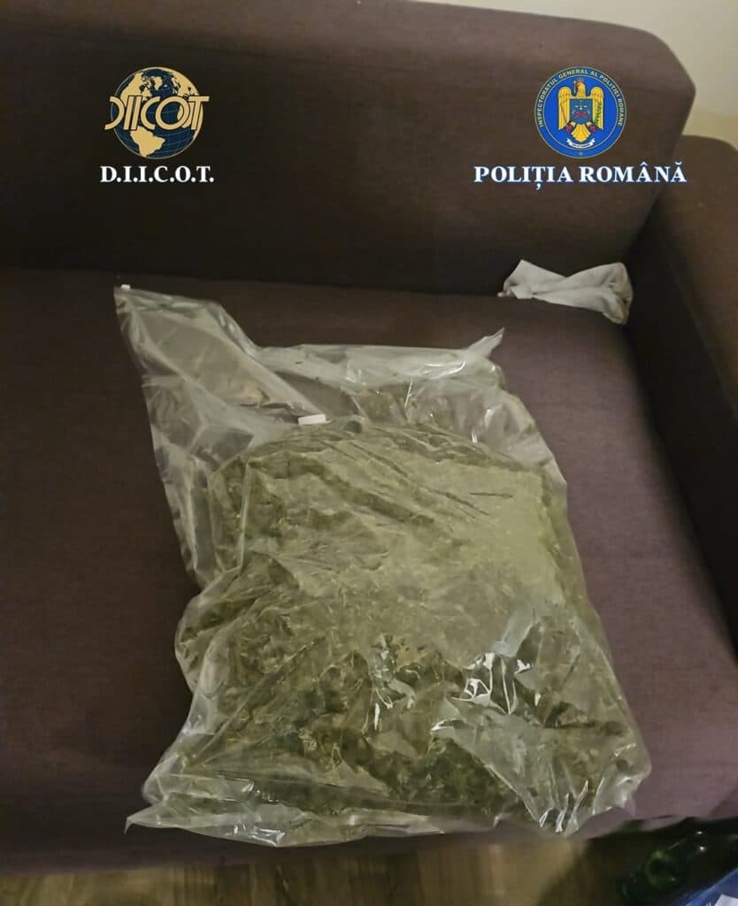 Aproape 3 kilograme de canabis, descoperite de anchetatori în Bistrița-Năsăud / Doi tineri au fost arestați preventiv