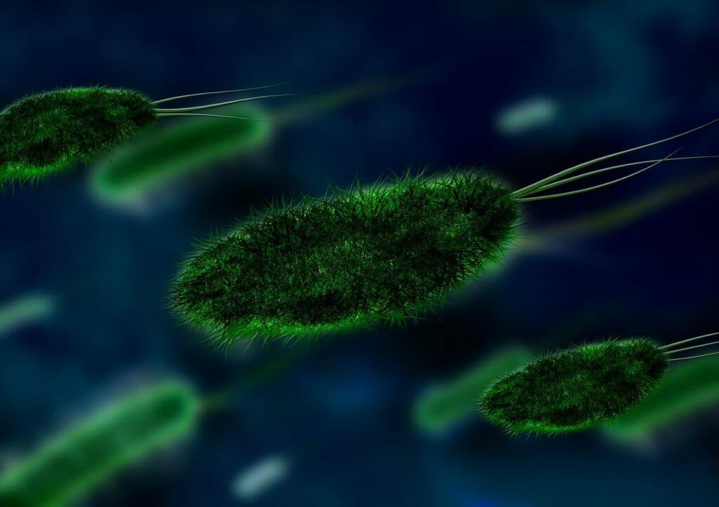 Noile moduri surprinzătoare prin care se răspândesc bacteriile