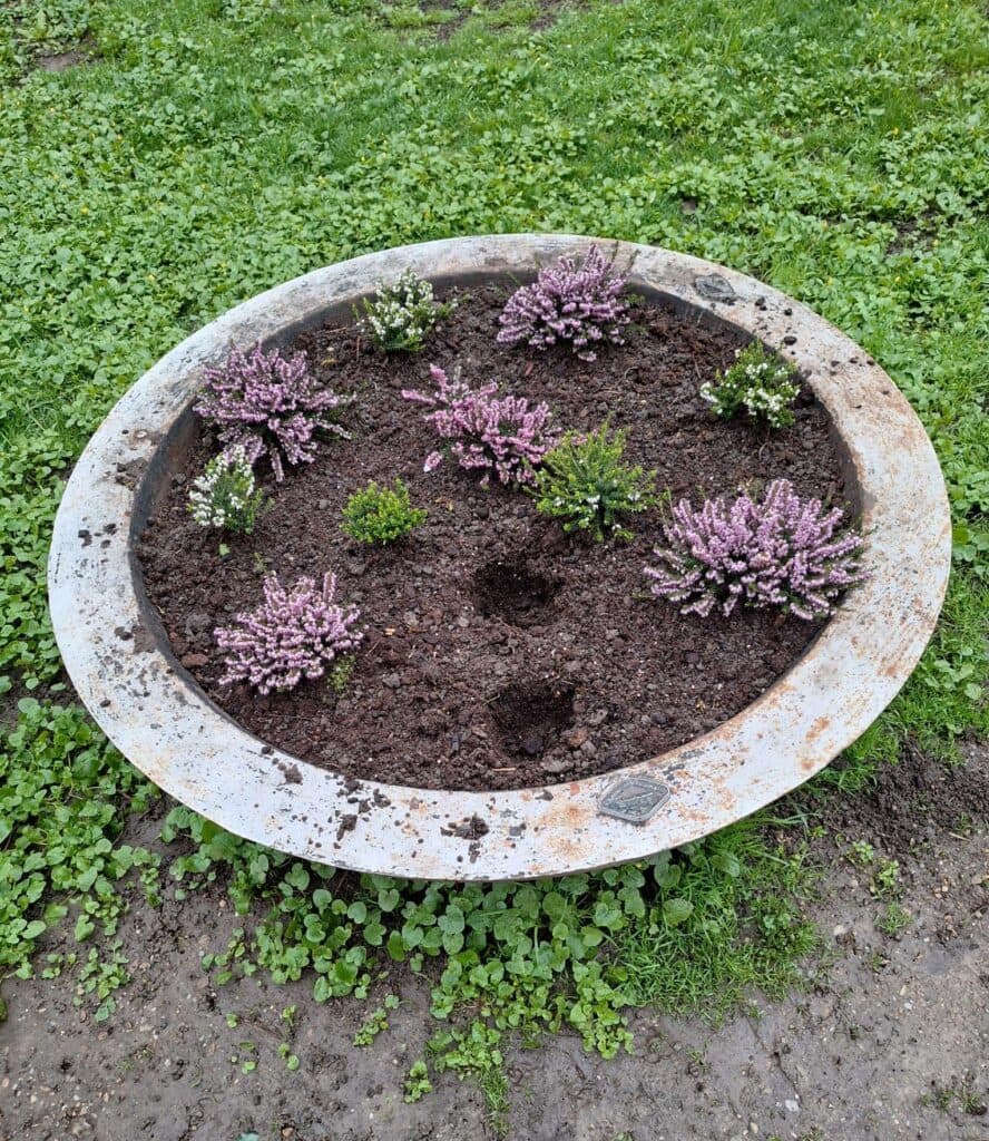 Florile din Parcul Cișmigiu, păzite de polițiști locali. Sute de flori au fost furate în câteva zile