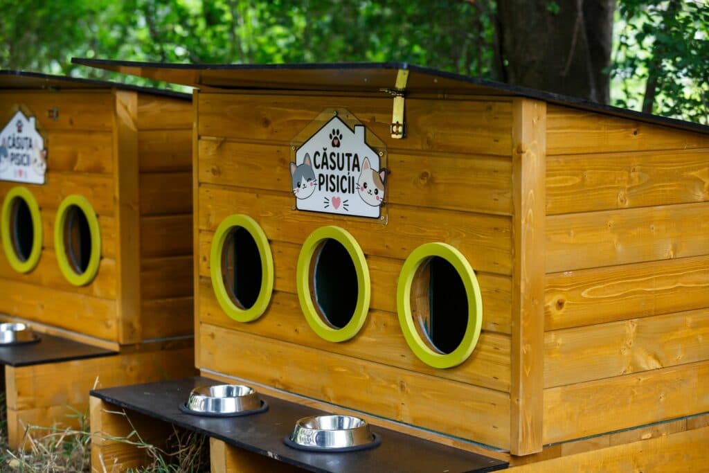 Primăria montează căsuțe pentru pisicile comunității în cartierele din Cluj-Napoca