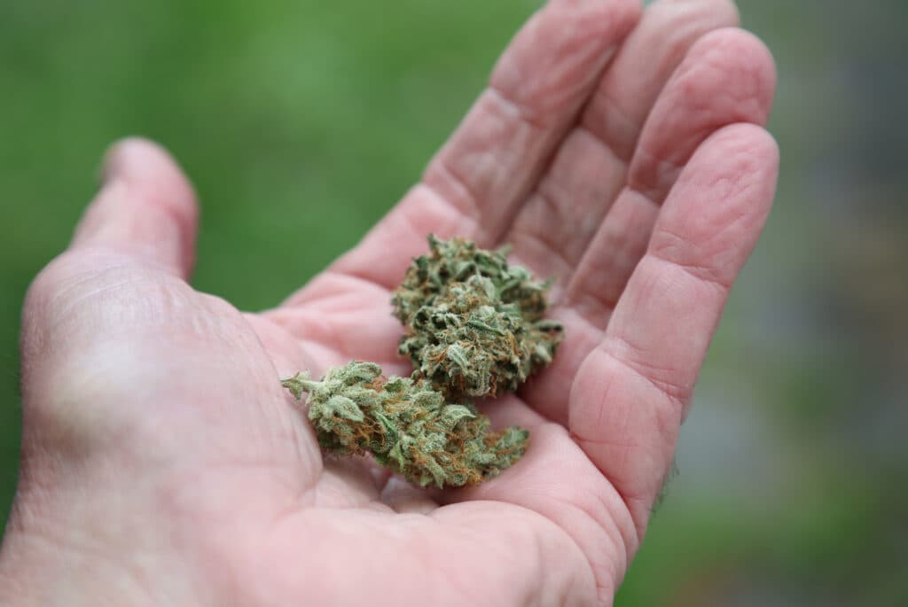 Au trimis 1,4 tone de cannabis prin curier. Zece suspecți au fost arestați în Franța și Spania