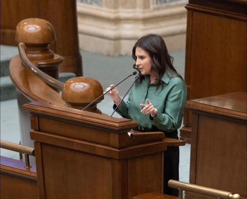 Senator PNL: Există două variante de guvern minoritar – condus de PSD sau din PNL, USR și UDMR