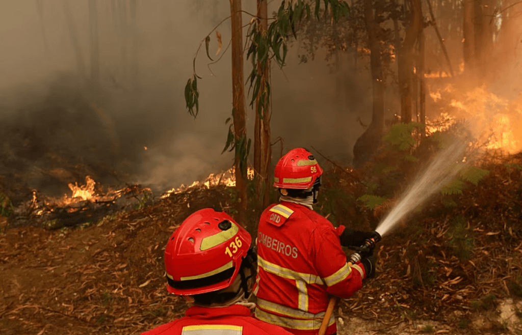 UE trimite avioane și sute de pompieri pentru a face față incendiilor devastatoare din Portugalia și Franța