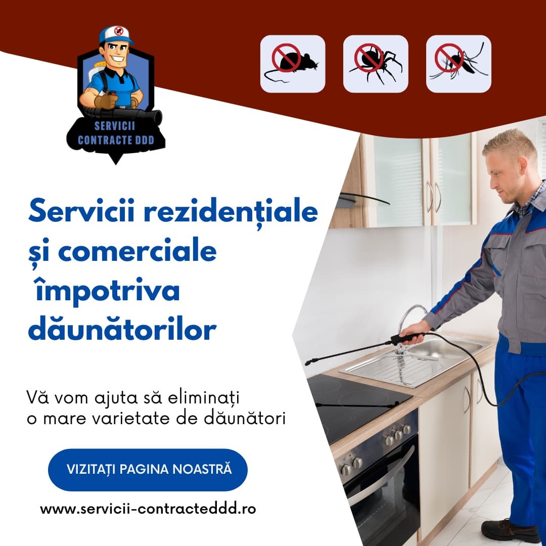 (P) Dezinsecția ploșnițelor cu abur: soluția modernă pentru locuințe sigure