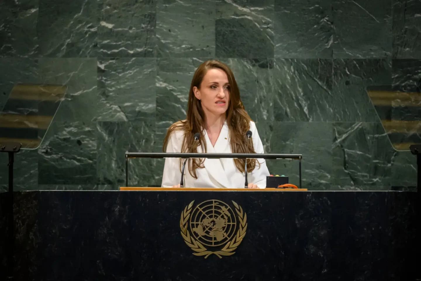 MAE a sesizat Consiliul de Securitate al ONU cu privire la dronele rusești care încalcă teritoriul României