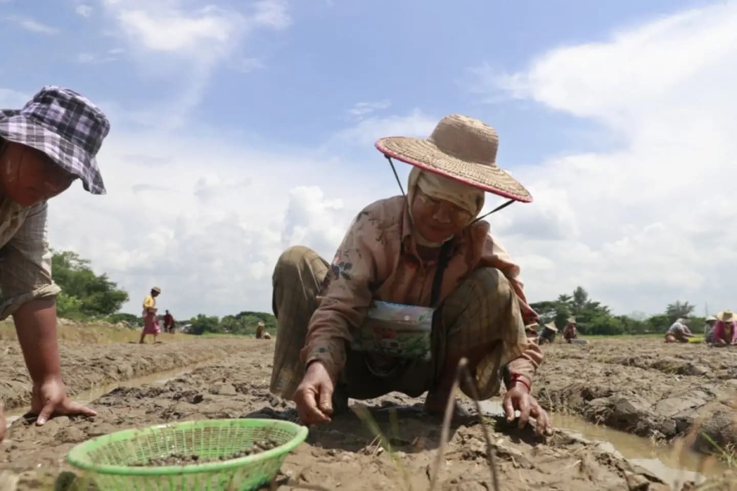 Două agenții ONU lansează un apel la ajutor preventiv în fața fenomenului El Niño