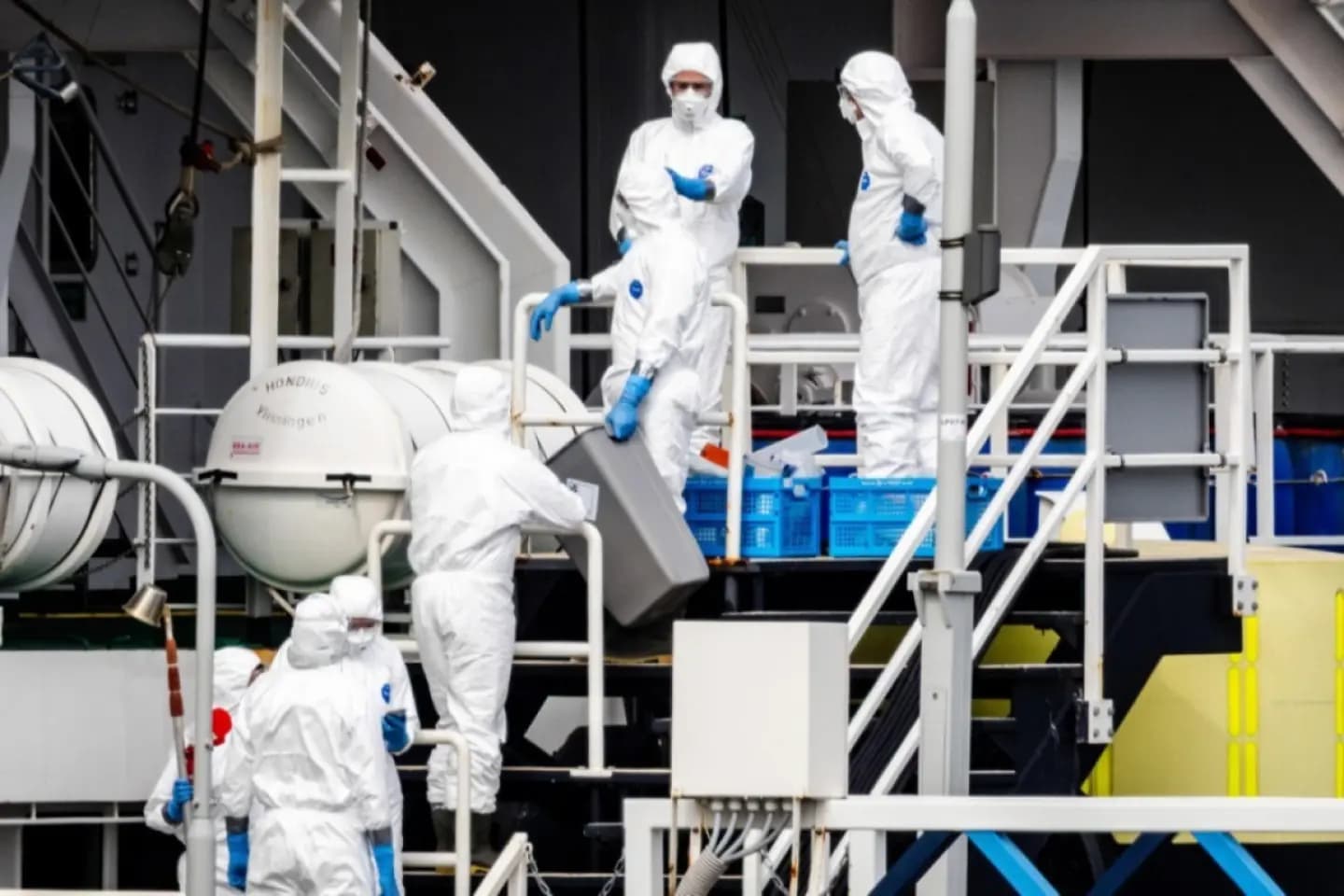 OMS declară închis episodul de hantavirus