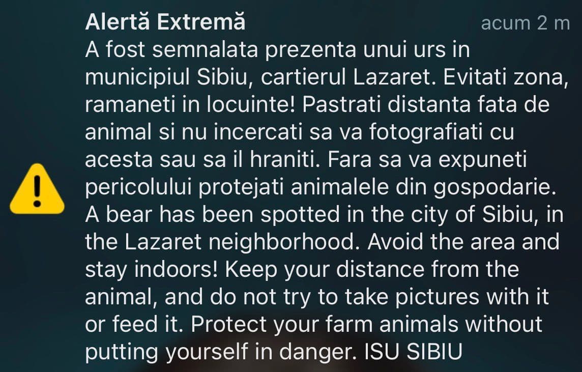 Un urs a fost văzut într-un cartier din municipiul Sibiu/ A fost emis mesaj RO-Alert