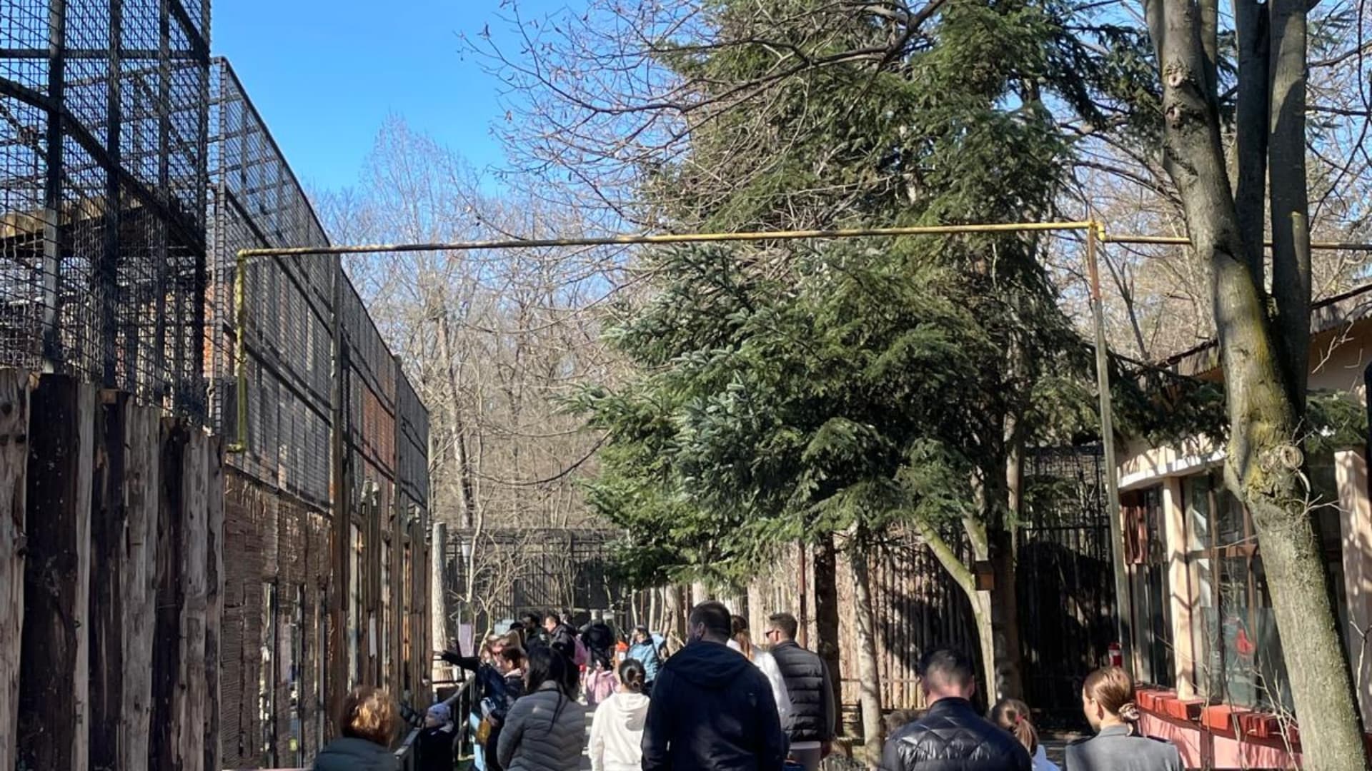 Oo sau Zoo, eveniment pentru copii în weekend, la Grădina Zoologică din București. Ateliere de pictură și de decorat ouă, printre activități