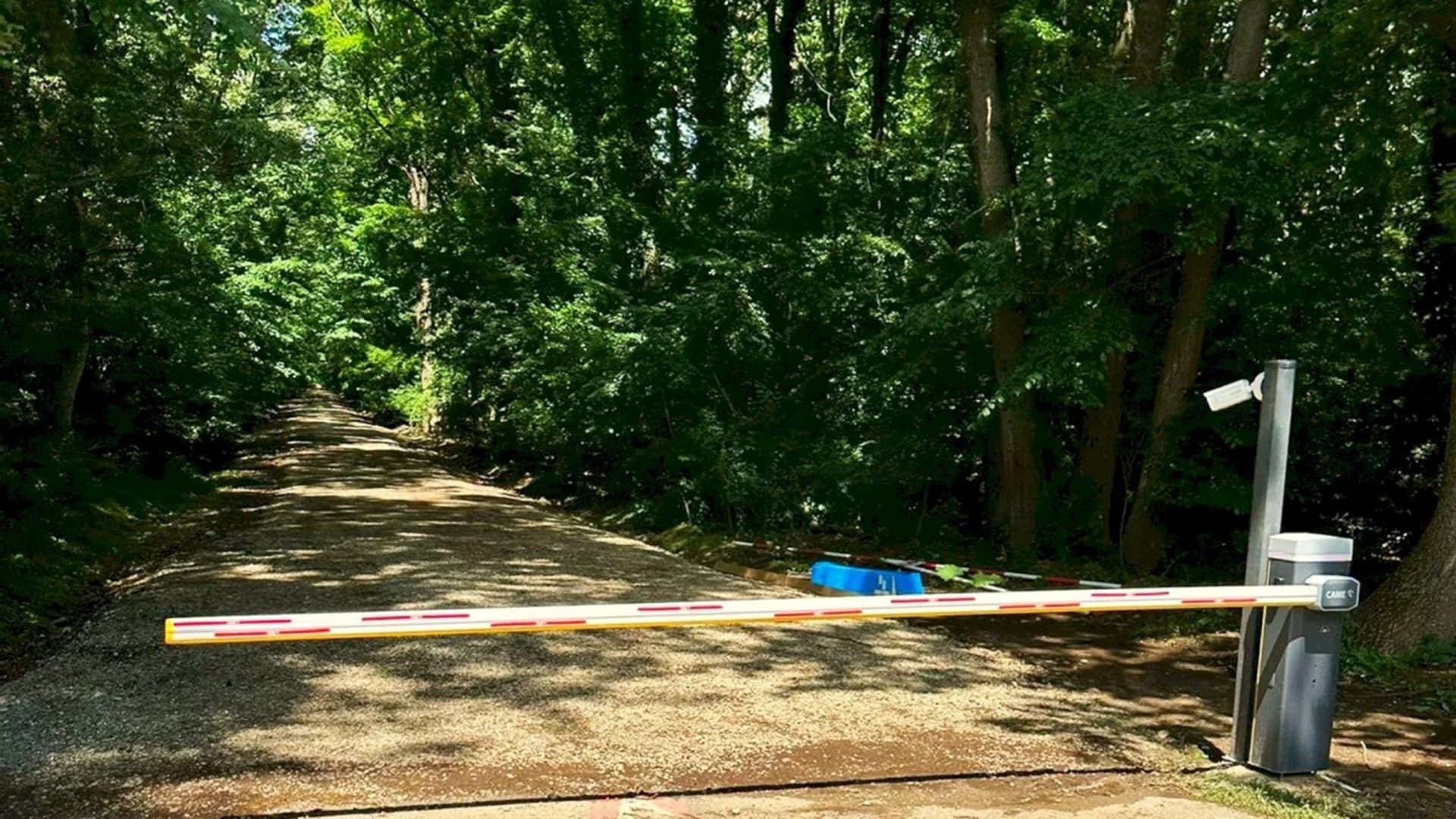 Victorie în primă instanță pentru Ministerul Mediului privind raportul de control în cazul drumului forestier din Băneasa. Documentul fusese contestat de Romsilva Ilfov