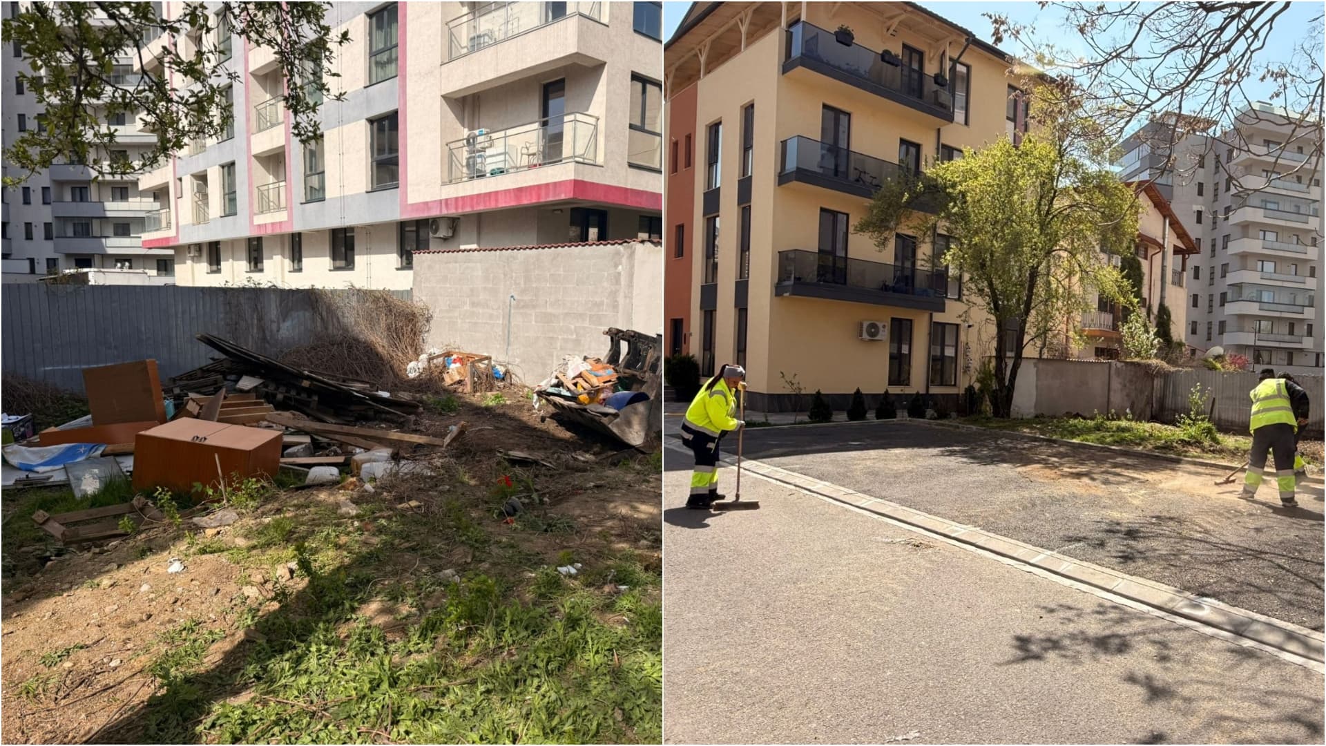 FOTO | 26 de tone de gunoaie au fost scoase de pe un teren din Sectorul 6. Două construcții ilegale de pe Str. Plt. Ion Topor au fost demolate