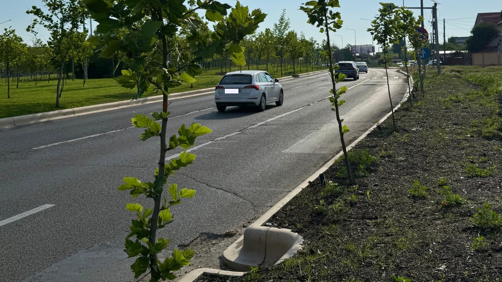 FOTO | De la moloz și deșeuri la spațiu verde. Negoiță anunță mândru că s-au plantat 170 de platani și că s-a pus gazon pe un teren de la ieșirea din S3