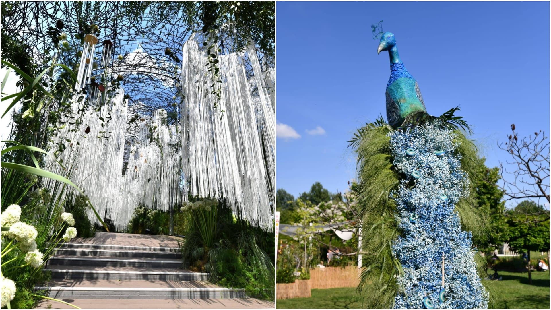 FOTO🌸West Side Flower Fest se apropie de final. Concerte, 14 grădini spectaculoase și proiecții pe apă îi așteaptă pe bucureșteni în Parcul Drumul Taberei