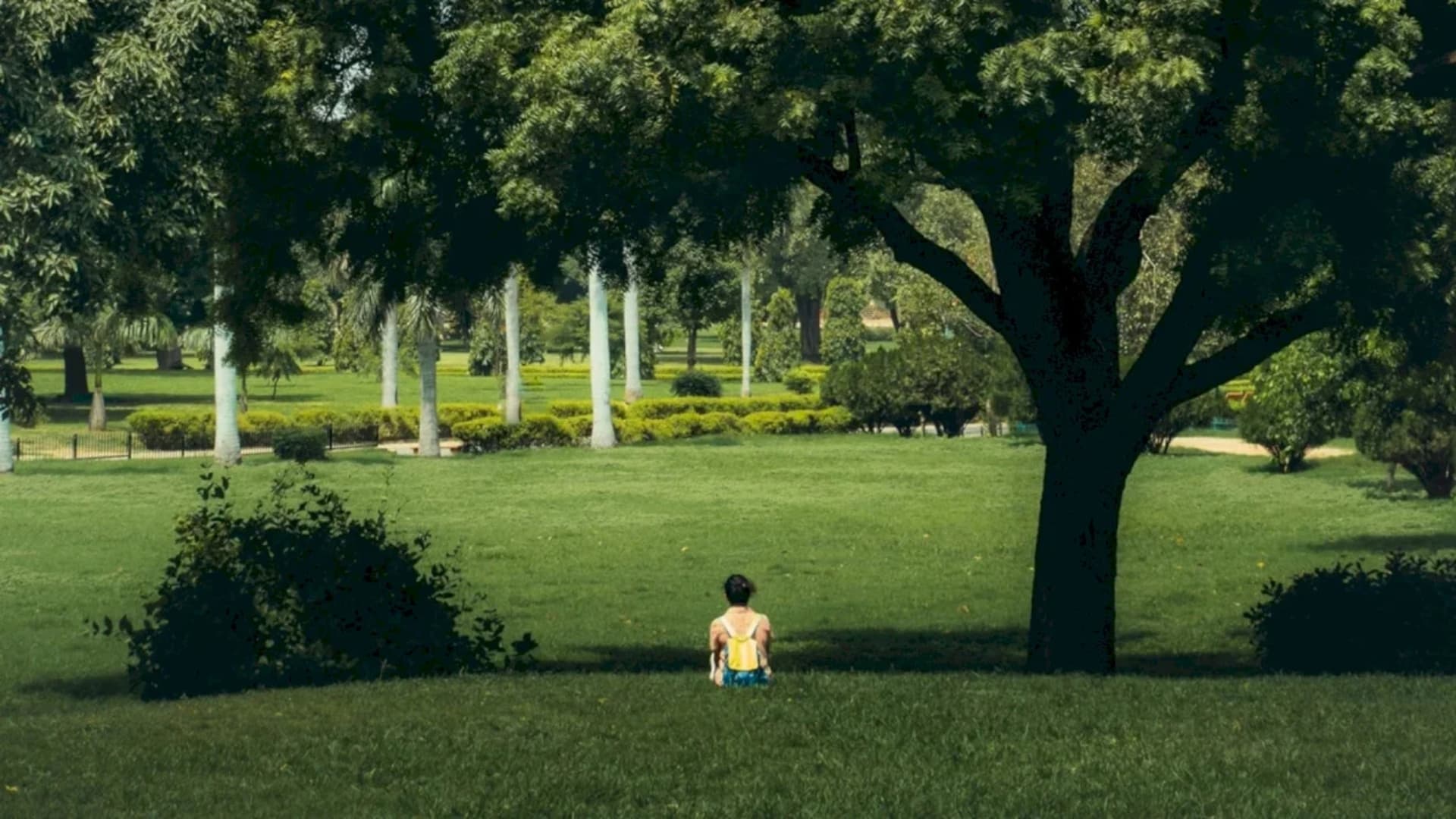 Pe 15 iulie Consiliul Local S3 va supune la vot proiectul „Parcul Pallady”. Ar urma să fie amenajat pe Drumul Gura Crivățului, dacă va fi votat