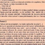 Subiectele de rezervă date azi la Evaluarea Națională 2026, Limba română: caracterizarea personajului Olguța din „La Medeleni” / Varianta a fost folosită în cazul unui elev care a leșinat și a ajuns la spital