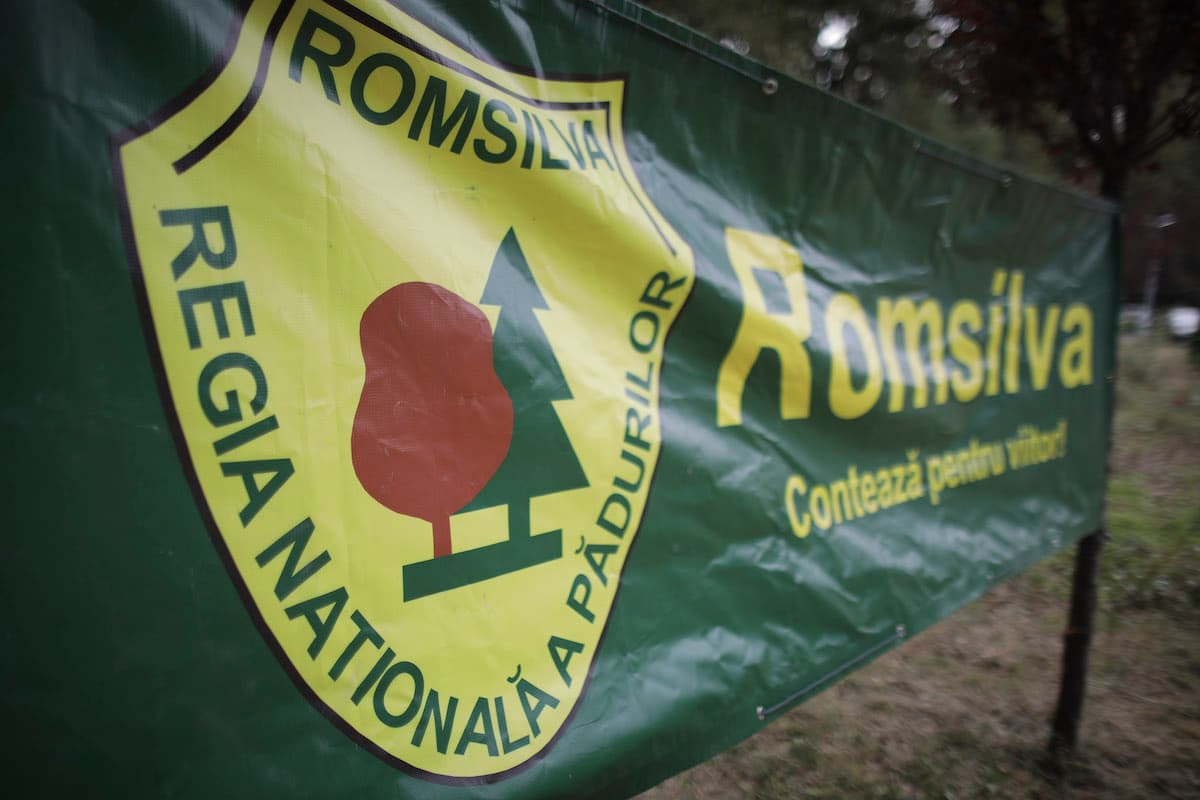 Romania's Romsilva secures 4,600 hectares of forests after 20-year litigation
