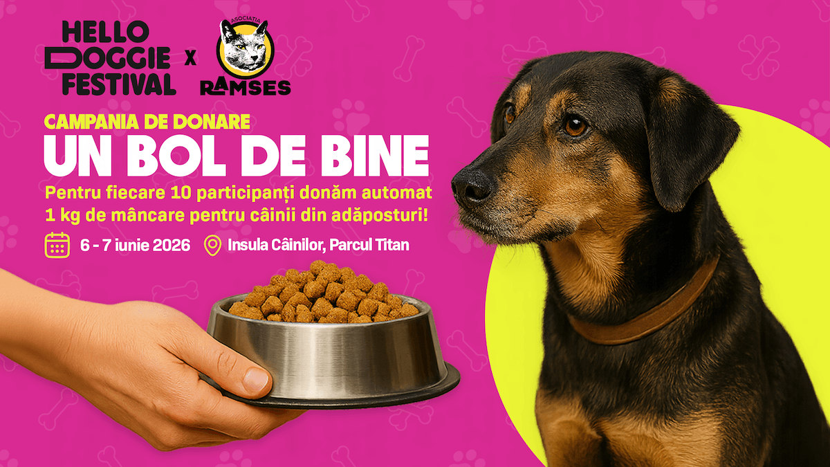 Bucharest’s Hello Doggie Festival to donate food for shelter dogs through new charity campaign