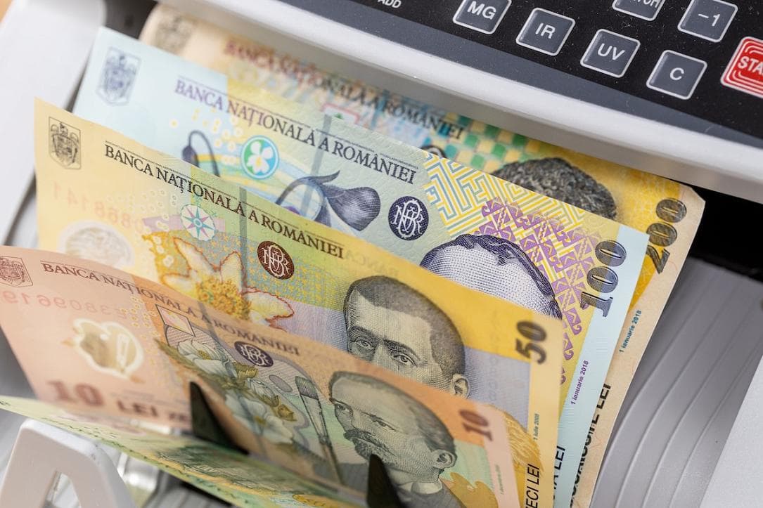 Romanian retail investors show cautious demand for new 10-year government bonds