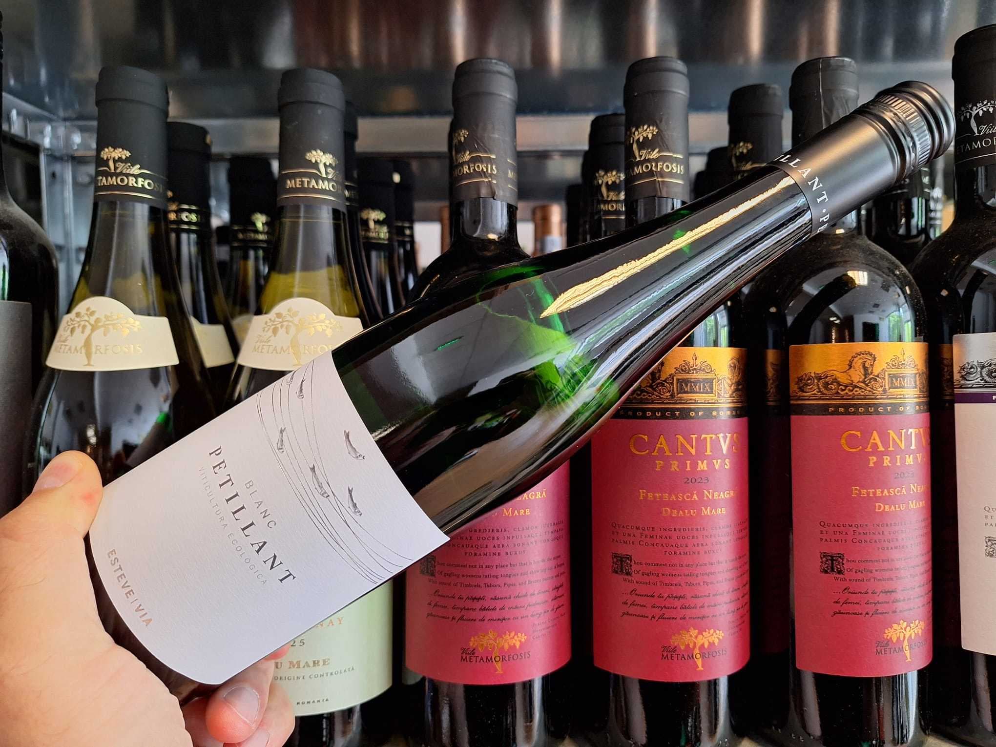 Vinul zilei: un frizzante bio din Penedès care aduce vara în pahar. Note de citrice, mere și pere verzi, accente de piersică coaptă, perlaj fin și o prospețime care invită la încă un pahar