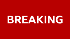 Man jailed for 15 years over plot to attack Taylor Swift concert in Vienna