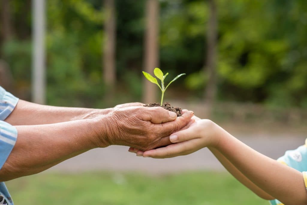 IAȘUL VERDE | Sustenabilitatea nu e pentru bogați: e despre cei care vor să-și salveze bugetul. O nouă serie de articole tematice ZDI