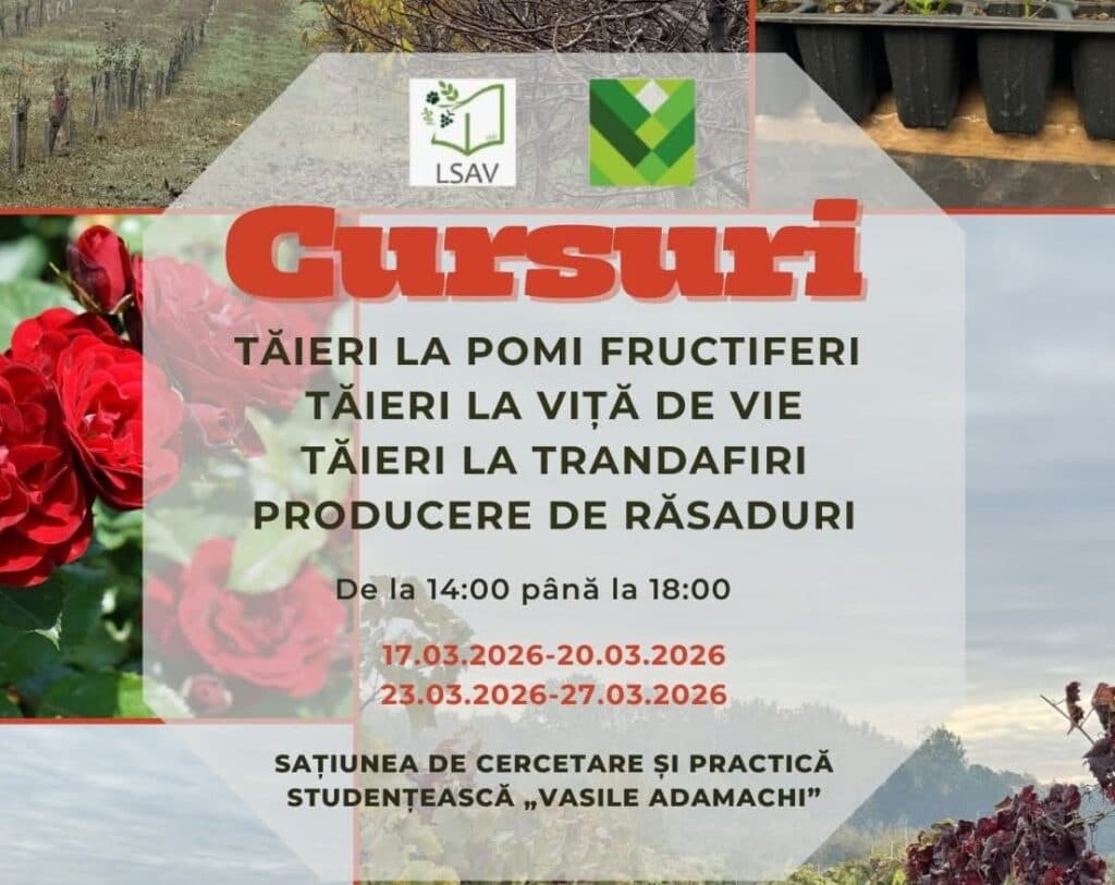 Cursuri practice de tăieri la pomi fructiferi, viță de vie și producere de răsaduri, organizate de USV Iași