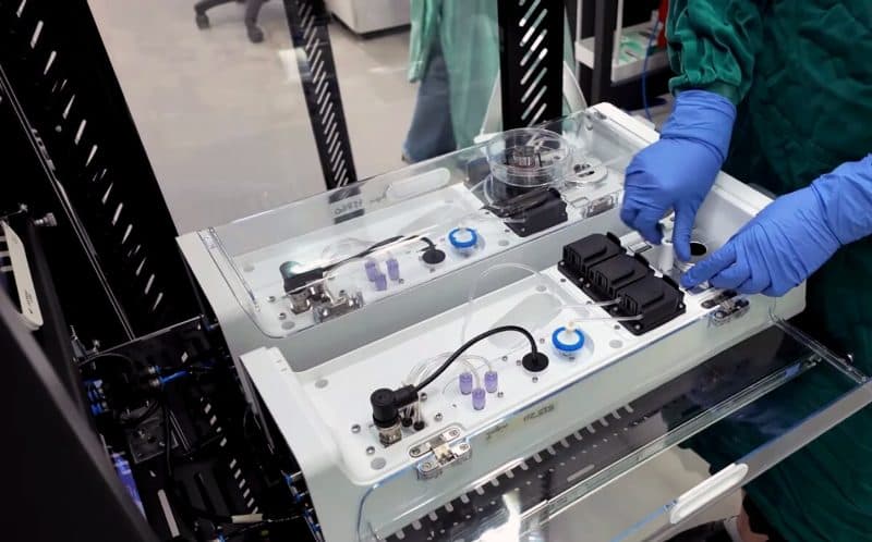 Neuroni umani, folosiți pentru computere. Experimentul care ar putea schimba inteligența artificială