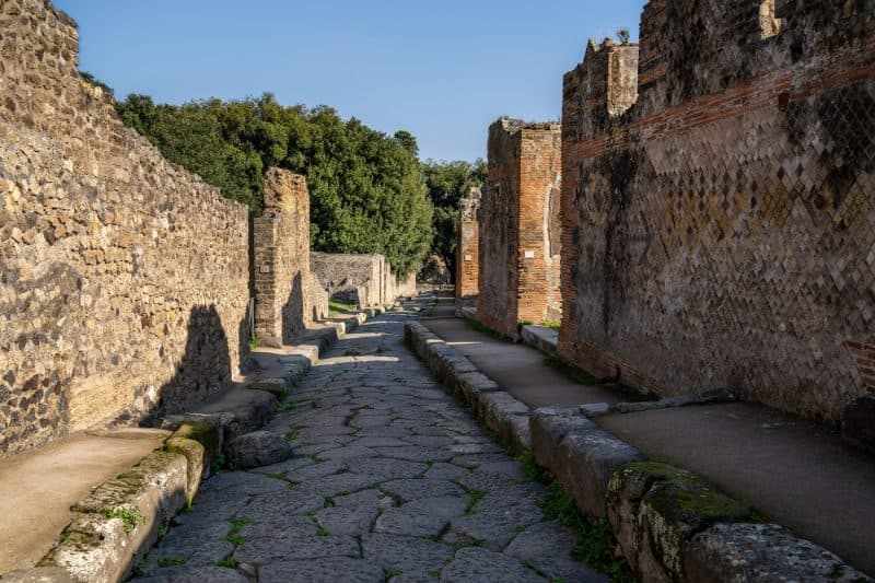 Descoperire surprinzătoare la Pompeii. Arheologii au găsit scheletul unui animal folosit în producția de pâine înainte de erupția Vezuviului