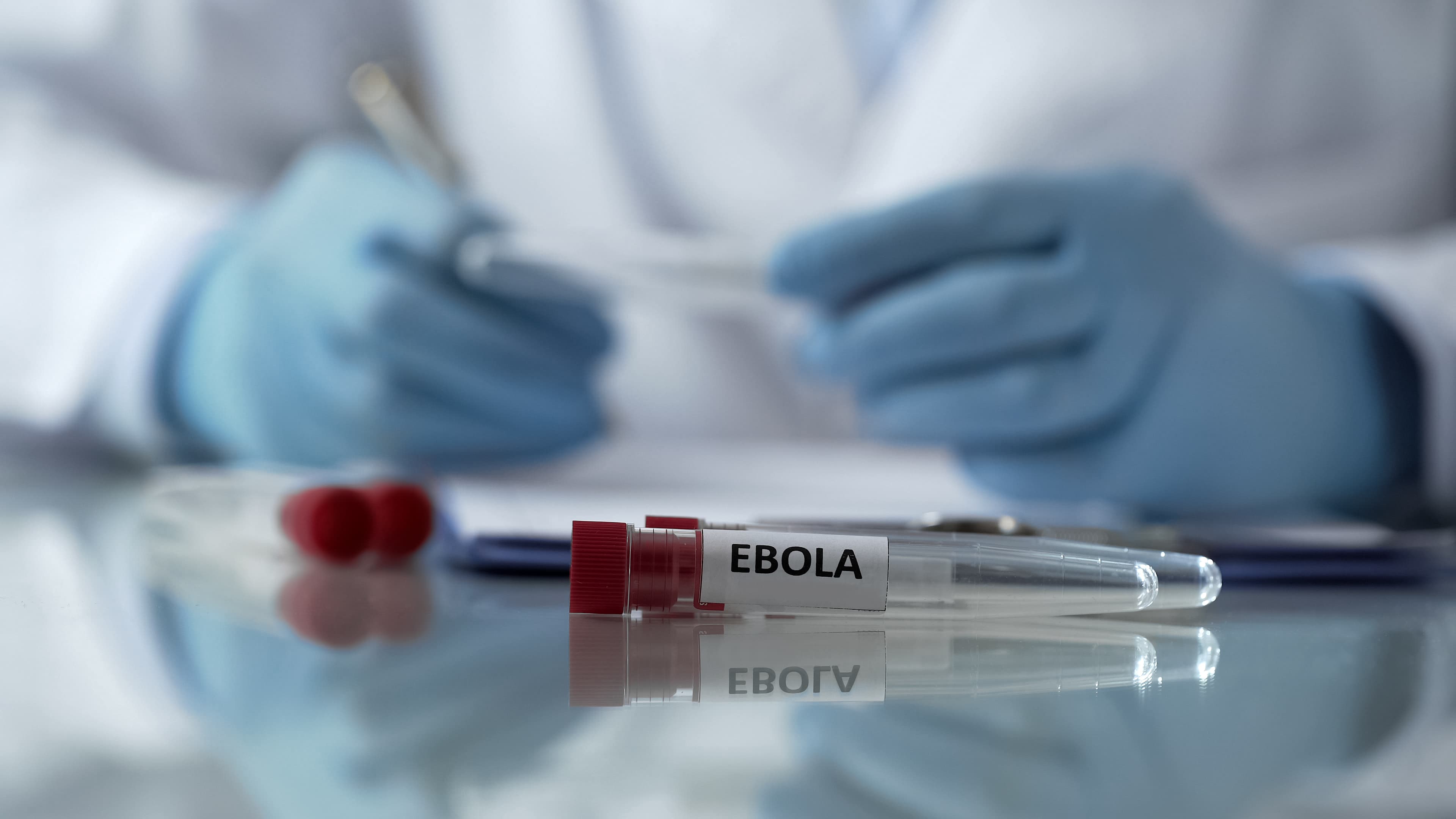 Un caz de ebola a fost diagnosticat în premieră în Franţa. Un medic întors din RD Congo a fost testat pozitiv