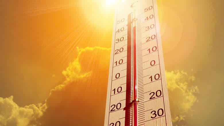 Cod roşu de caniculă în mai multe regiuni din Regatul Unit, temperaturile vor depăşi recordurile istorice. Zonele afectate