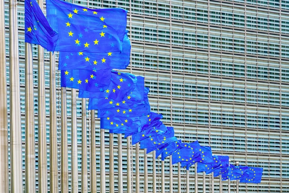 UE va propune interzicerea acordării statutului de refugiat bărbaților ucraineni aflați la vârsta serviciului militar