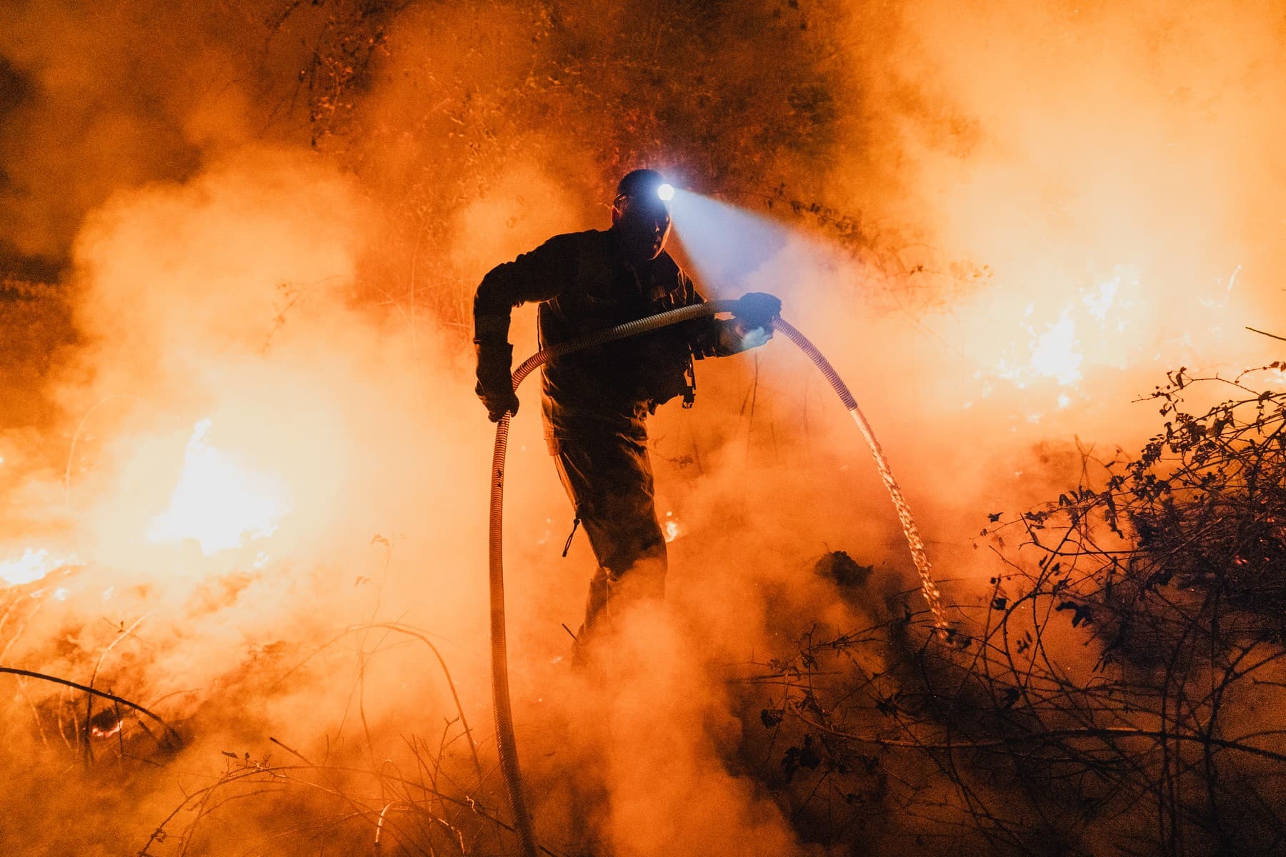 Grecia pune inteligența artificială în lupta cu incendiile de vegetație. Sateliții detectează focarele în timp record
