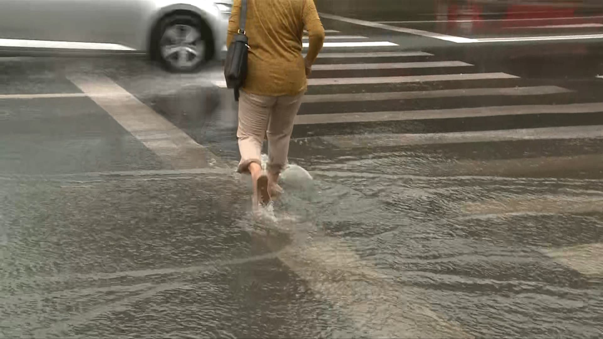 Efecte ale vremii nefavorabile în 10 județe și București: zeci de intervenții ale pompierilor pentru inundații și copaci căzuți