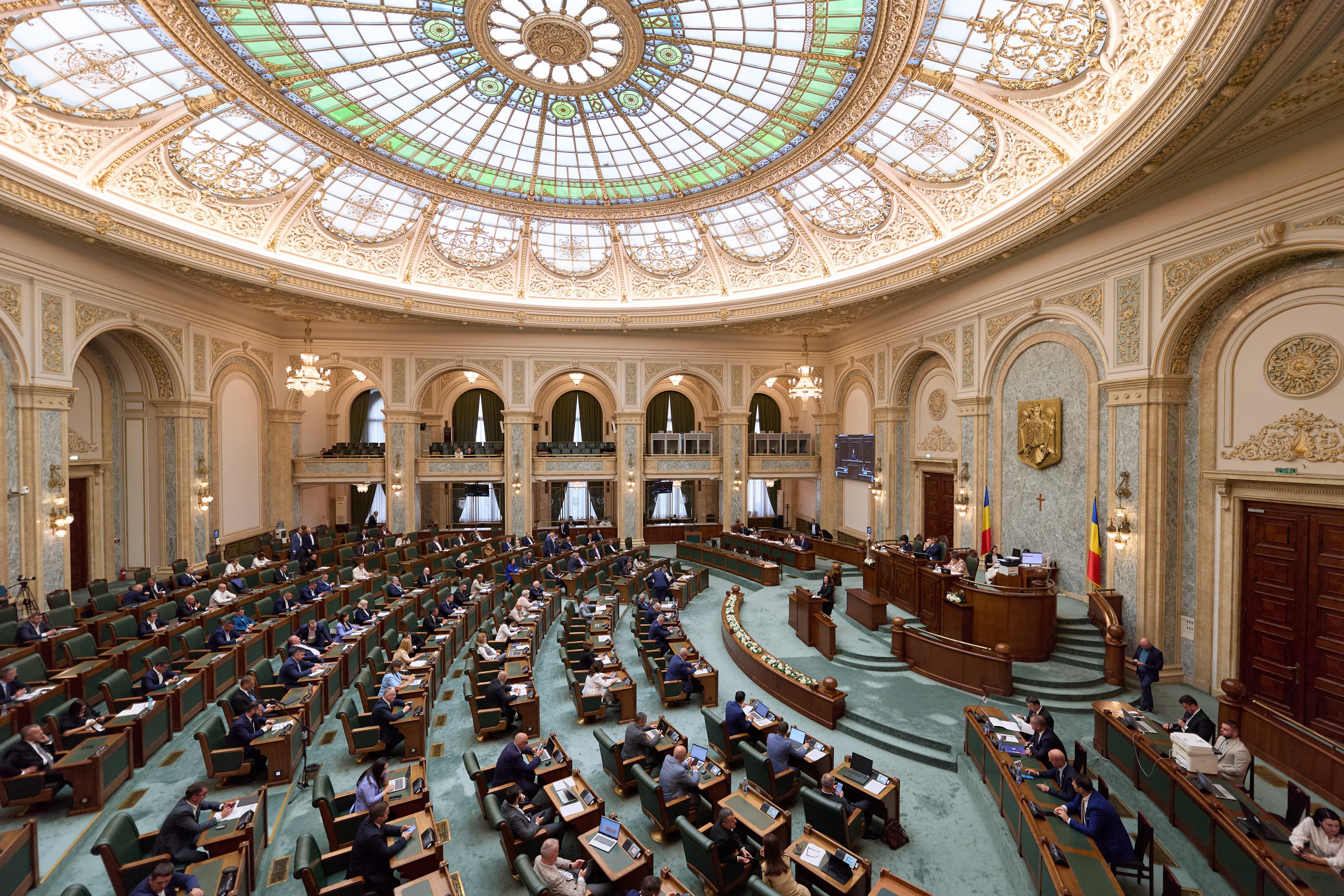Senatul a aprobat amnistia fiscală pentru firmele cu coduri de TVA anulate. Peste 2.000 de companii așteaptă votul final