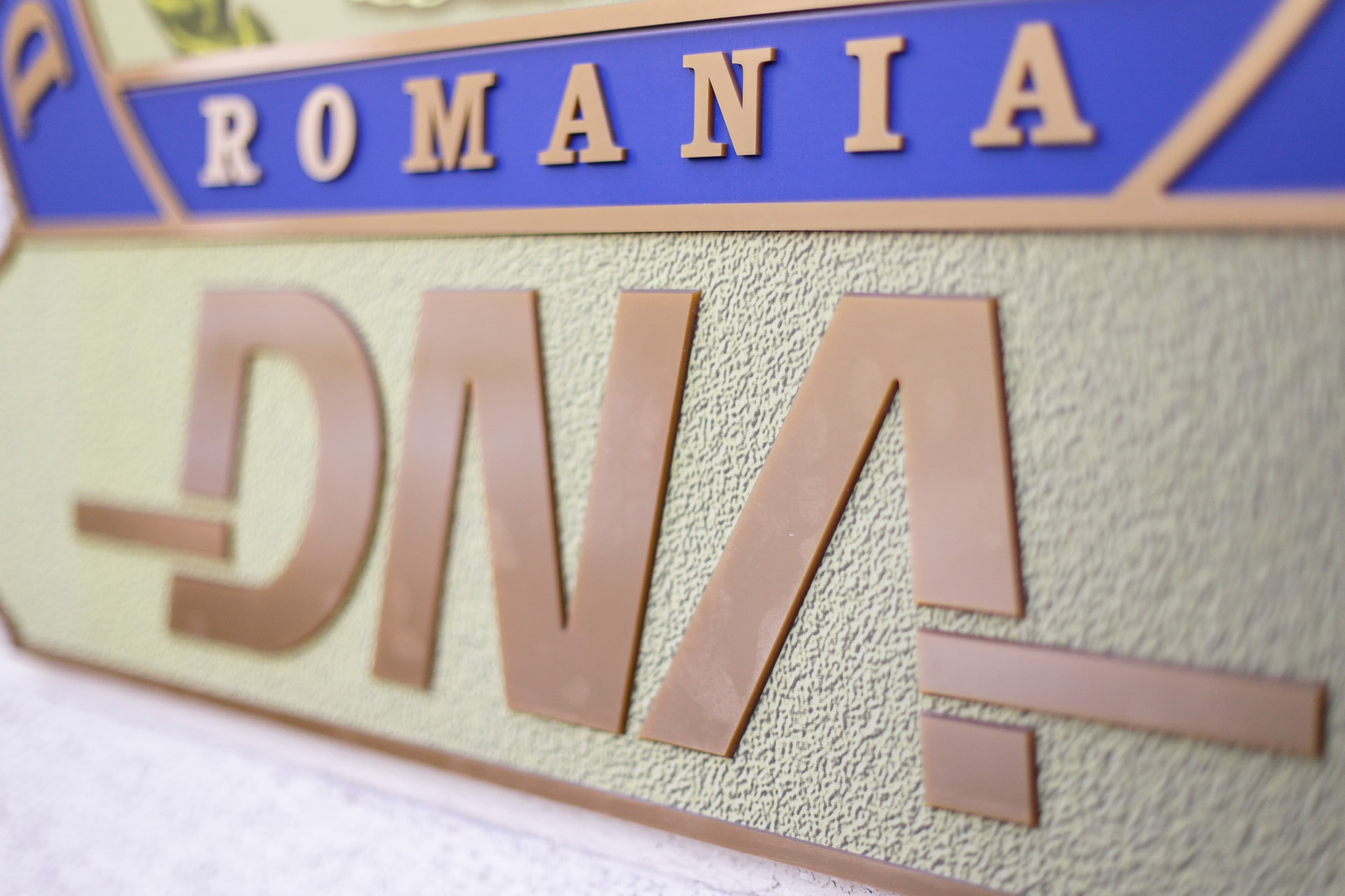 Poliţist din Argeş, arestat pentru că a cerut șpagă altui polițist