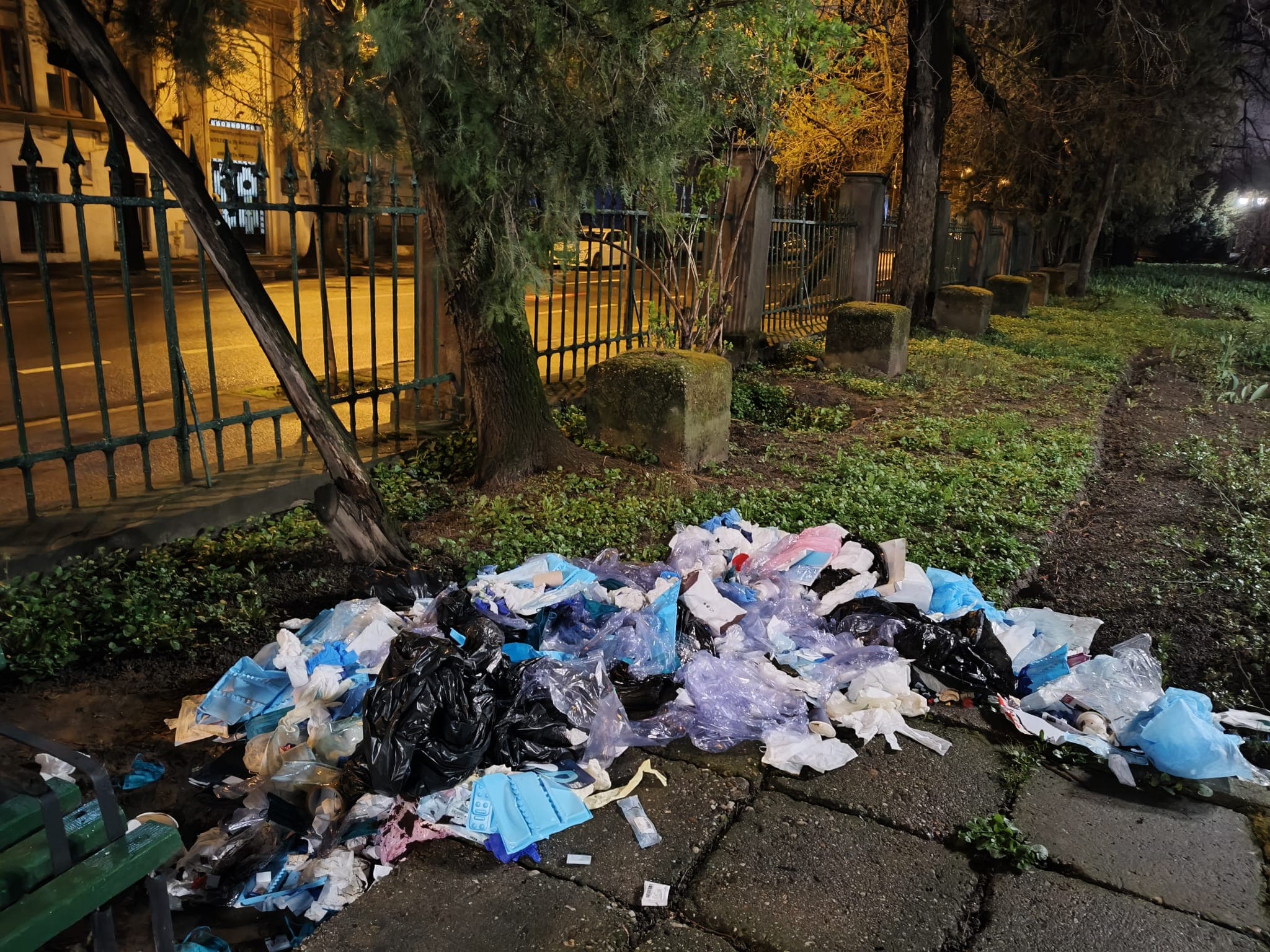 Deșeuri medicale aruncate în Parcul Cișmigiu: O clinică stomatologică din București a fost amendată cu 70.000 de lei