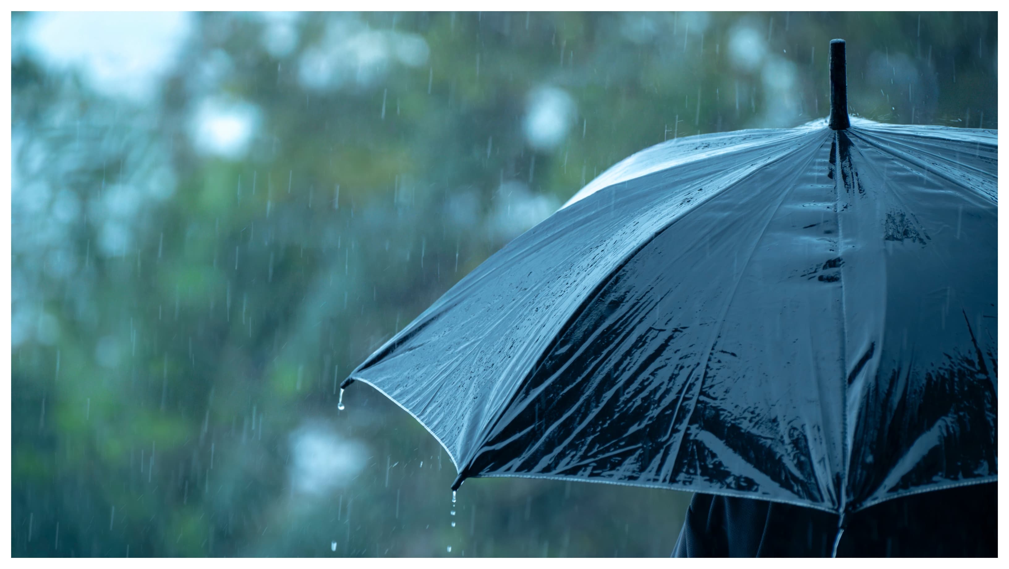 Ploile pun stăpânire pe România. Prognoza meteo pe patru săptămâni: Cum va fi vremea la început de iunie