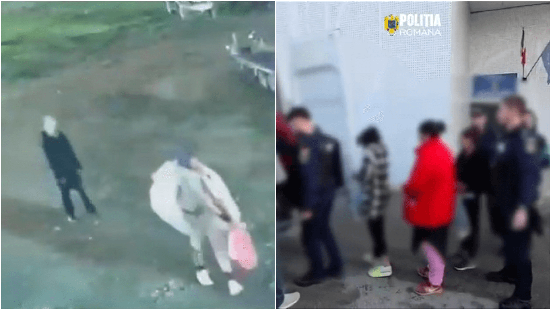 Jaf neobișnuit în Capitală: bujori de 20.000 de euro, furați dintr-o seră. Suspecții au fost prinși în flagrant de polițiști