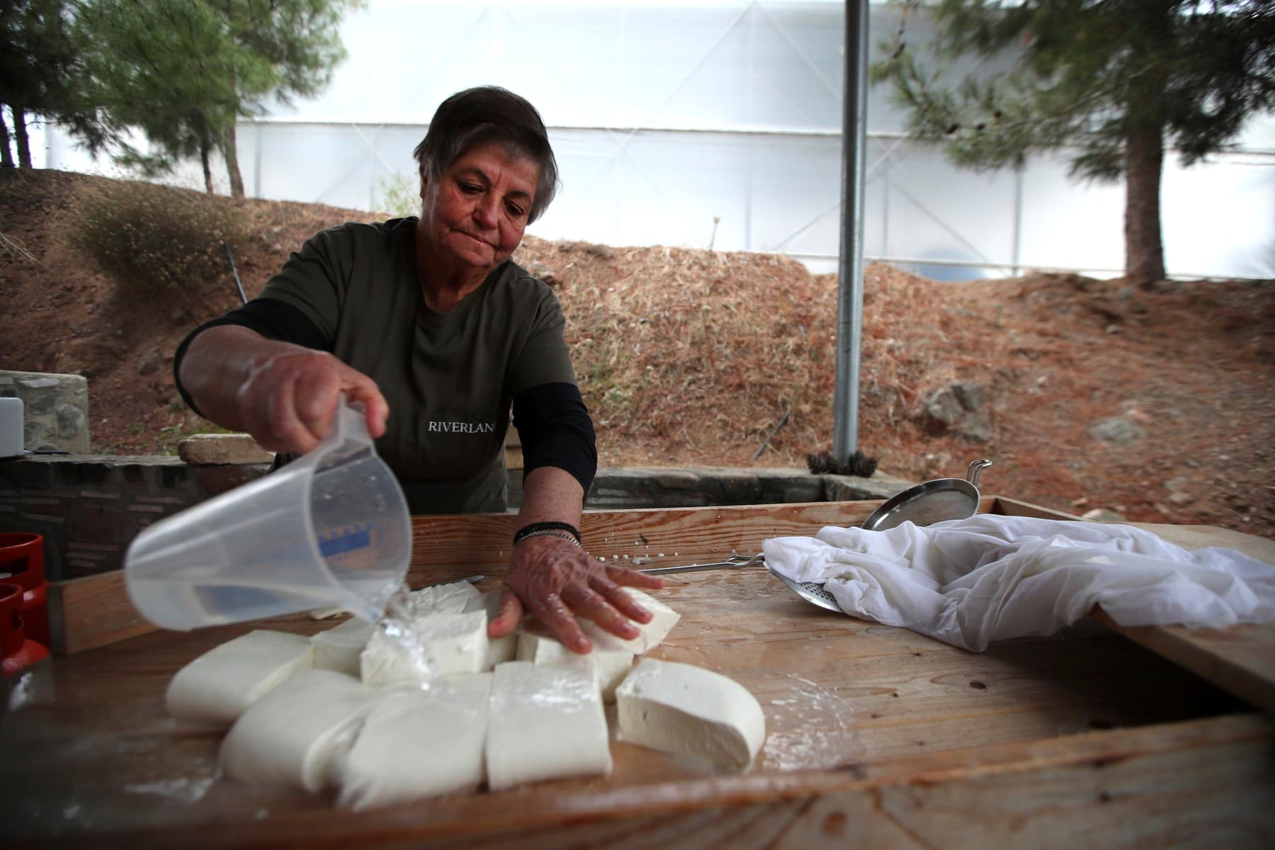 Brânza Halloumi, în pericol: fermierii ciprioți se confruntă cu o epidemie mortală, iar soluția depinde de acordul turcilor din nord