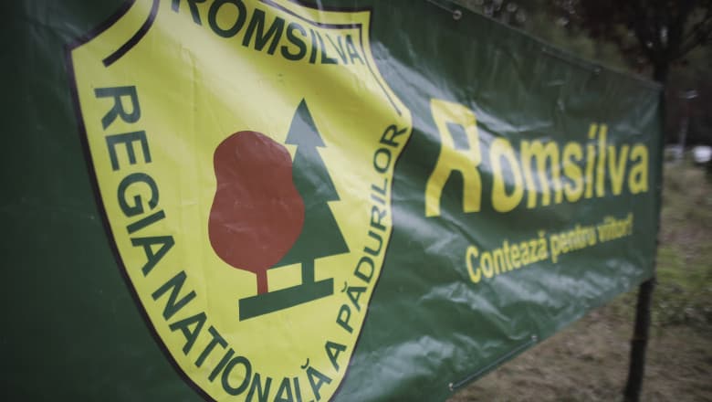 Instanţa respinge tentativa de suspendare a reformei Romsilva. Ministerul Mediului câştigă procesul privind HG de reorganizare a regiei