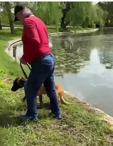 Un bărbat e acuzat că a încercat să-și înece câinele în lacul din Parcul Tineretului din Capitală: poliția a deschis dosar penal