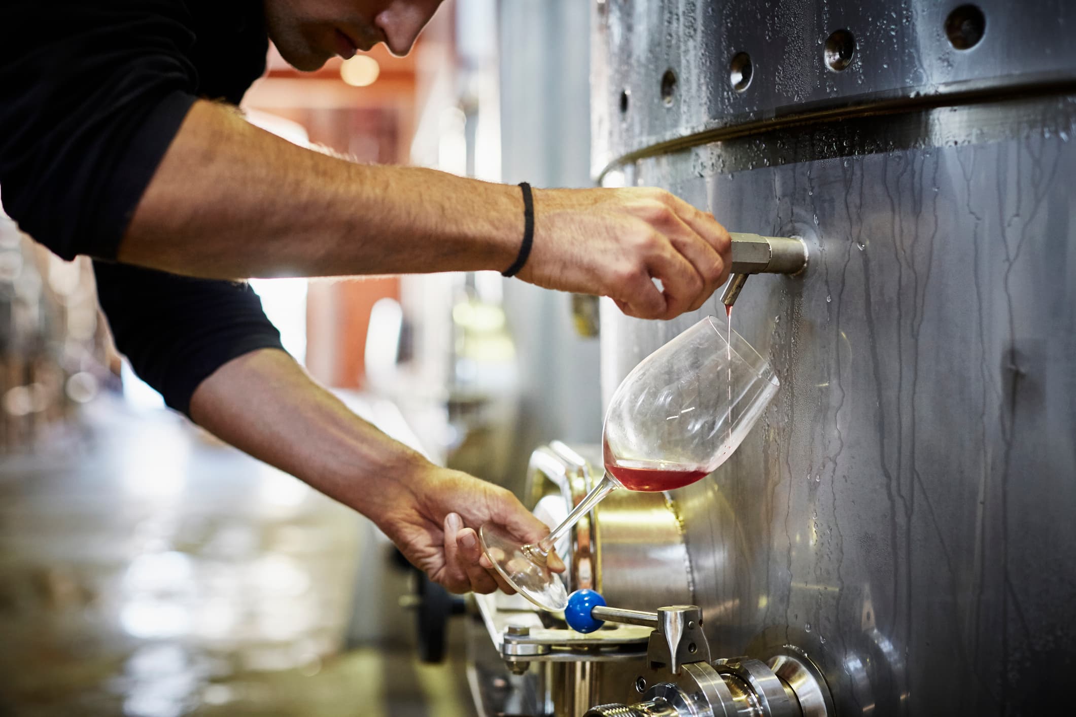 Taxele vamale afectează comerţul global cu vin în 2025, în timp ce România îşi creşte producţia, arată OIV