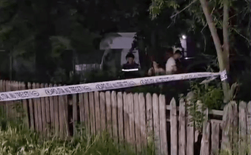 Tragedie în județul Buzău: Un copil de patru ani a murit după ce a fost mușcat de un câine ciobănesc