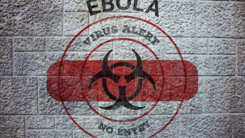 OMS a identificat tratamente şi vaccinuri experimentale împotriva virusului Ebola care urmează să fie testate în cadrul unor studii clinice