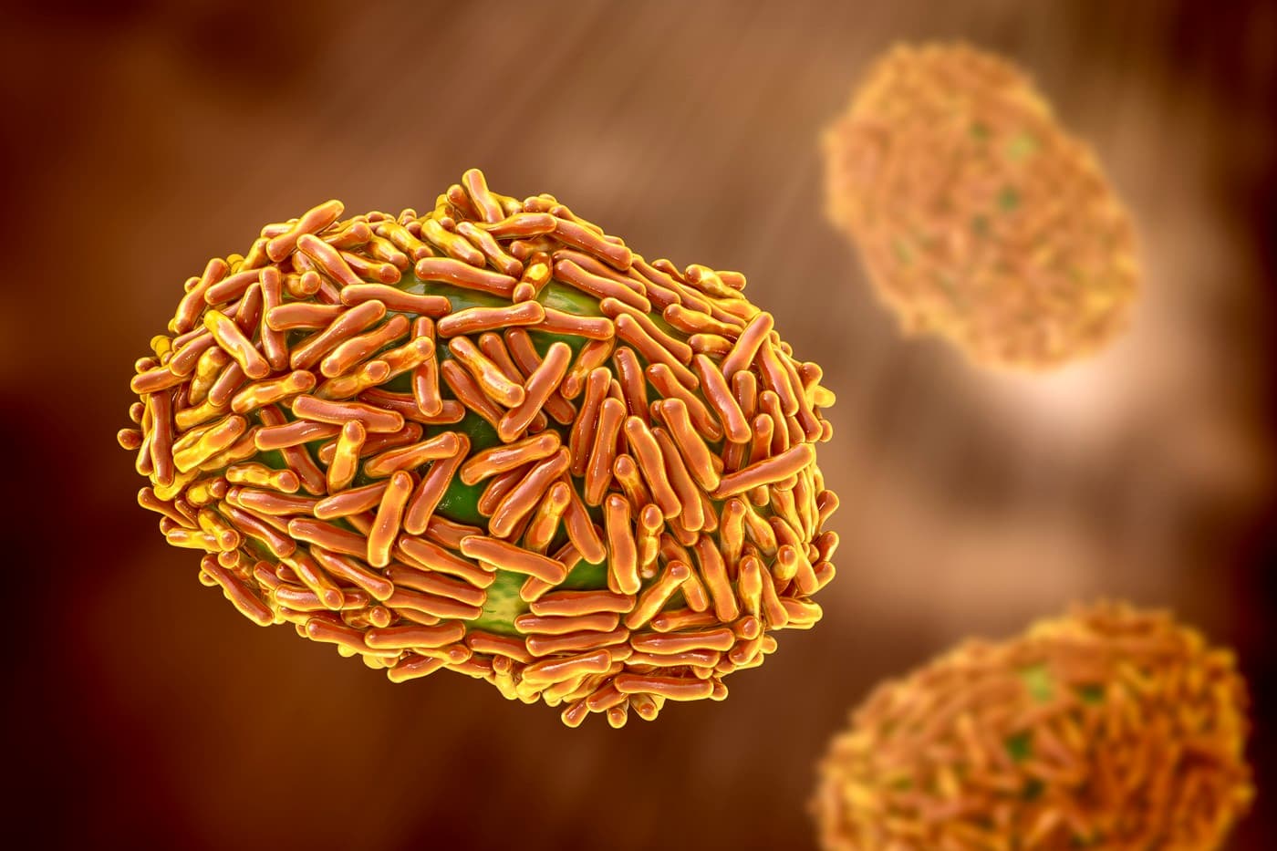 Doi cercetători au fost reținuți în SUA pentru că au încercat să introducă virusul mpox inactivat, adus din Africa